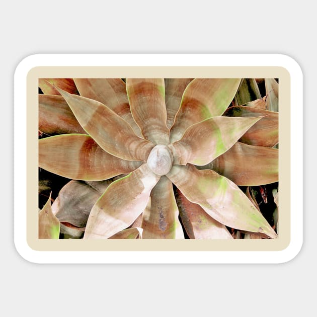 Agave Plant Sticker by Look Good Feel Good T Shirts